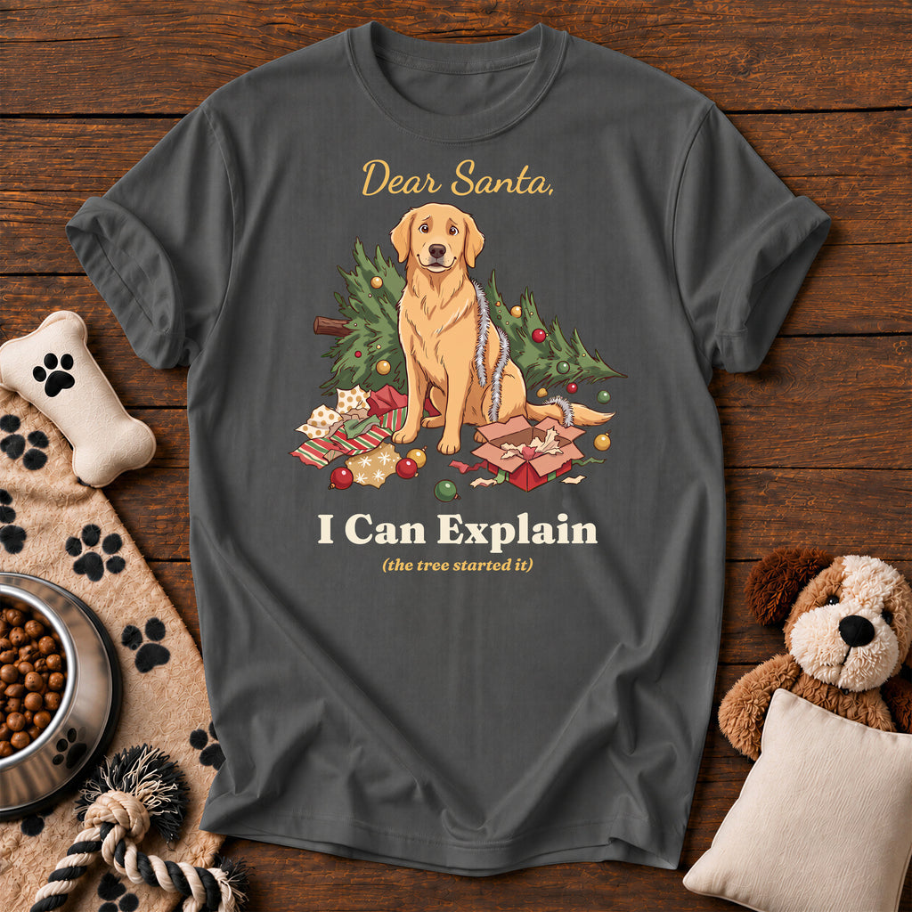 Golden Retriever I Can Explain Tee — funny dog t-shirt in Pepper, Comfort Colors 1717 flat lay